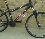Taiwan Giant Rock 5000