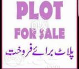 Commercial Plot on main Khaniwal road near Hassan Abad gate