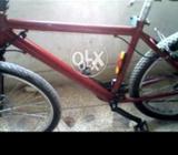 Fuji cycle