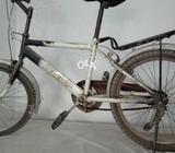 Releigh cycle