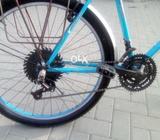 Maxino classic​ bick