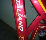 ITALIANO cyical DUBLE shocks & DISK BRACK Digeta changer CONDITION10/9