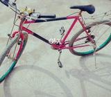 Phonex cycle urjnt sale txt m fr info