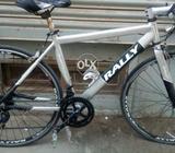 Rally road bike