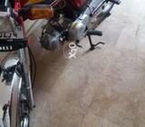 Rohi 2017 model