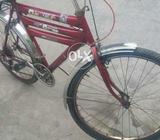 Gears bike (cheap fix price)