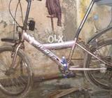 Bicyle for sell