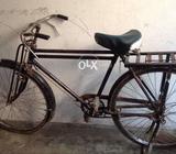 Bicycle for sell