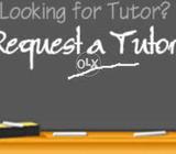 Tutor ( private tutor)