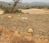 In D-13/3 Size 50*90 In St 108 Plot Available