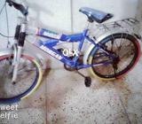 Bhai cycle achi hai pasie kam ho jae gai lena apko khoud ana ho ga