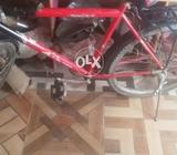 Bicycal Is Available