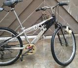 Bicycle 24inch