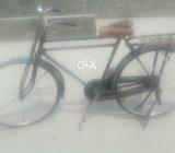 Bicycle Available
