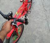 Bicycle red