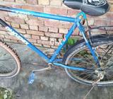 Congratulations Normal butt he is v ok