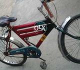 I am selling bicycle