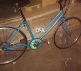 Japani ress new cical