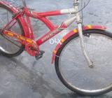 Momtain caycal ha tube new ha taher old ha