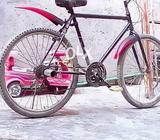Phonix cycle ready karwai hai