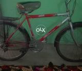Sony bicycle 24