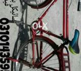 This bicycle color is very beautifull