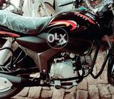 Cheetah 110 cc