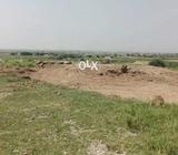 Urjent plot 4 sal€ Near TAj residencia CDA i16 sector