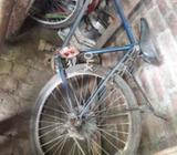 Bycycle neww
