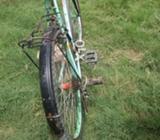 Gairo wali cycle