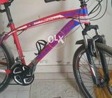 I am selling my 2 cycle