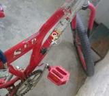 I am selling my bycycle