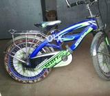 USA export bicycle