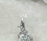 Miliflwar yang pair fix price