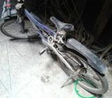 Bicycle of me