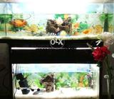 Jo lena chahy wo ly skta h