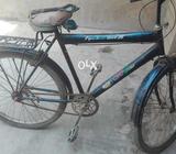 Bisycle sale 26