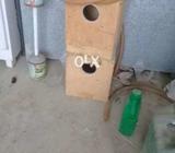 Coktail 7 box 350 per box