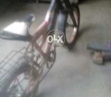Bicycles fortuner