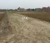 مصطفی آ باد کی آ باد ی اور کینال کے سنگم میں واقع خوبصورت رہاشی منصوبہ