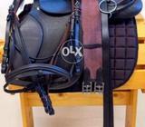 Horse saddles set