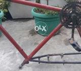 Phoenix original frame