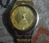 Citizen watch