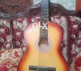 Show guitar