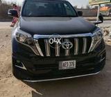 New shap prado