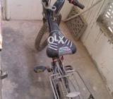 Good condition hay