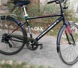 My new bicyle japani