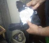 Lo g sea khal kalyary