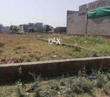 Kala gujra gt rote ke pass