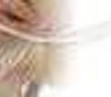 [O/A Levels.FSC BSC TUTORS Are Available in All